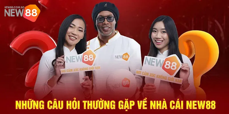 Câu hỏi về New88 về kỹ thuật hệ thống