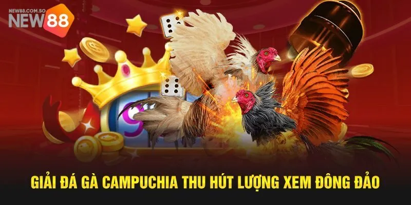 Các loại cược khi chơi đá gà Campuchia