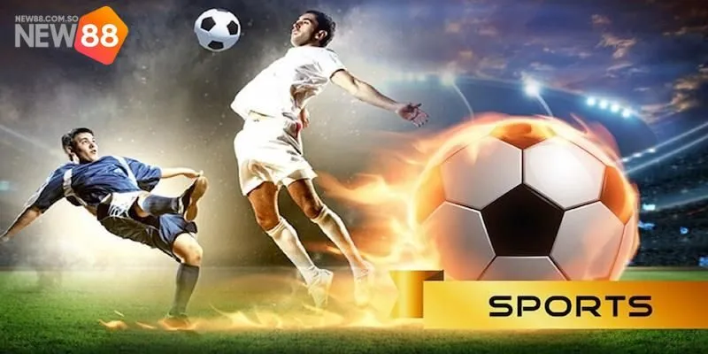 Lý do A - sports New88 là lựa chọn hàng đầu